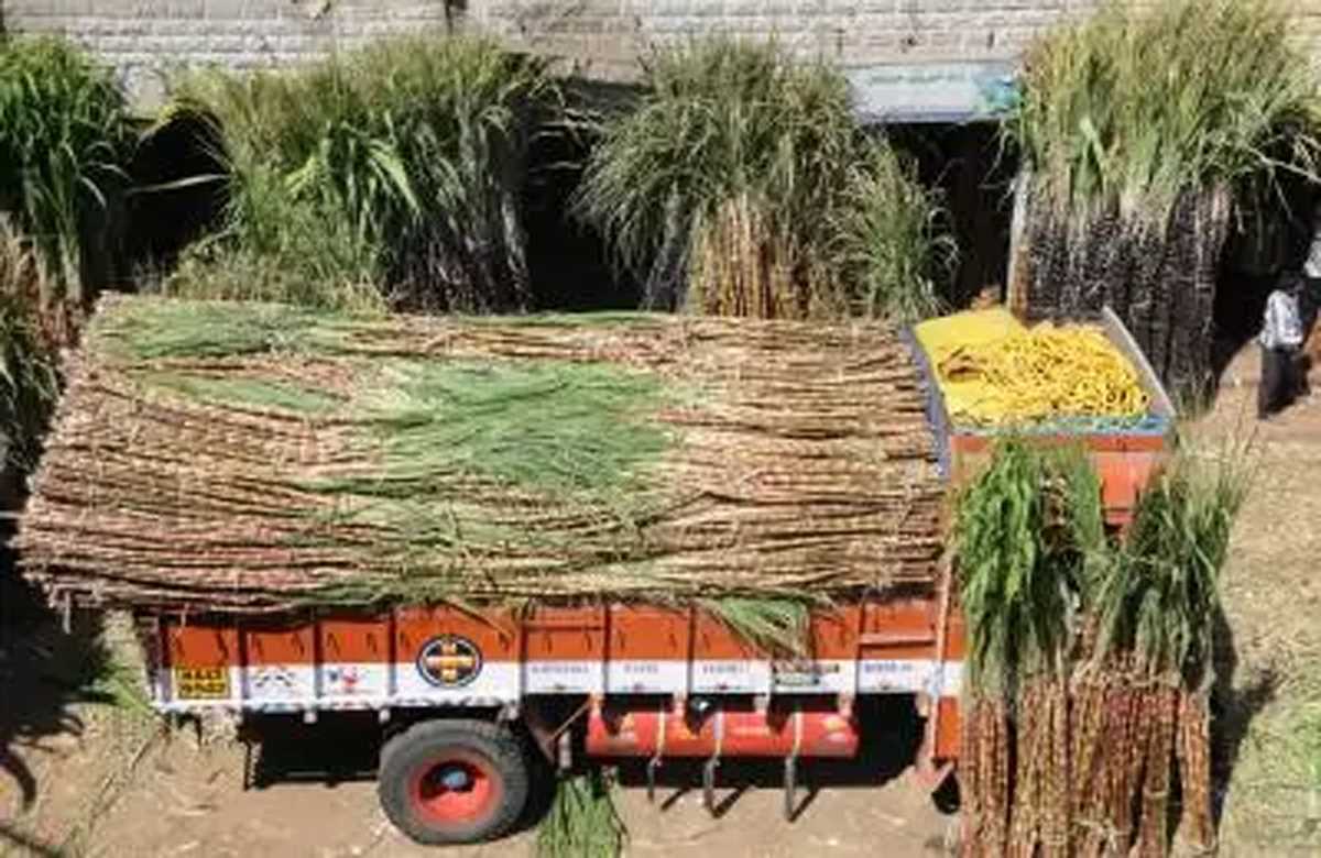 किसानों को शीघ्र भुगतान के लिए तेजी से चीनी निर्यात, 60 लाख मीट्रिक टन कोटा तय : केंद्र